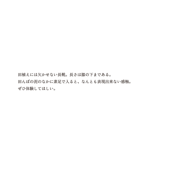 tsuchinouta