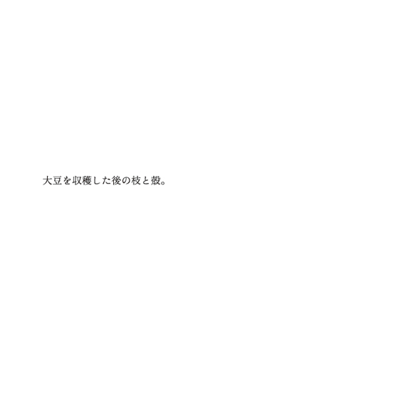 tsuchinouta