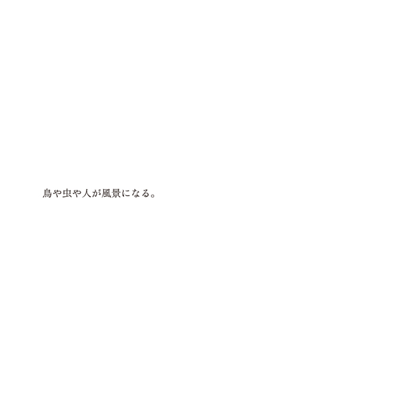 tsuchinouta