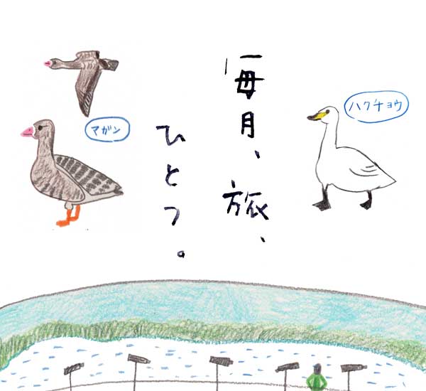 tabihitotsu