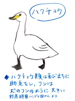 tabihitotsu