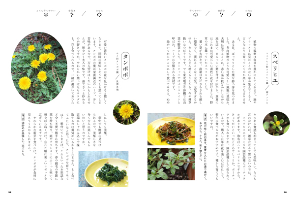 食べられる庭図鑑 05 ローズマリー